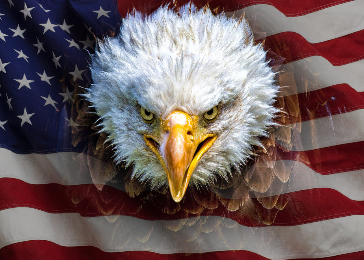 5D Diamond Painting United States Flag and Bald Eagle