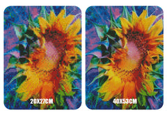 5D Diamond Painting Rainbow Sunflower