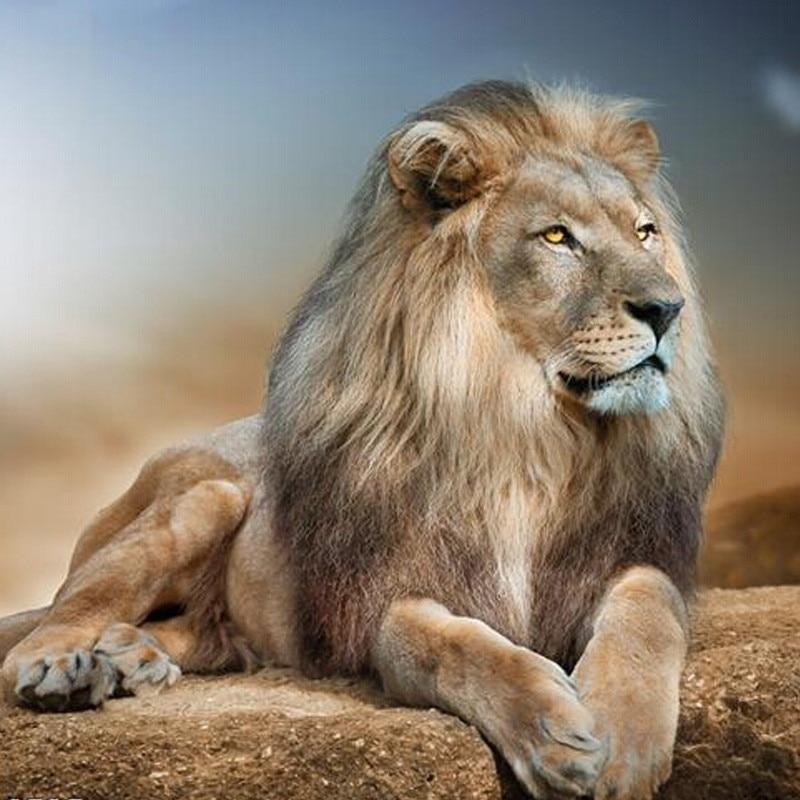 5D Diamond Painting Leo the Lion - Amazello