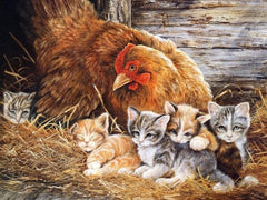 5D Diamond Painting Mommy Chicken and Baby Kitten - Amazello