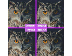 5D Diamond Painting Wild Owl - Amazello