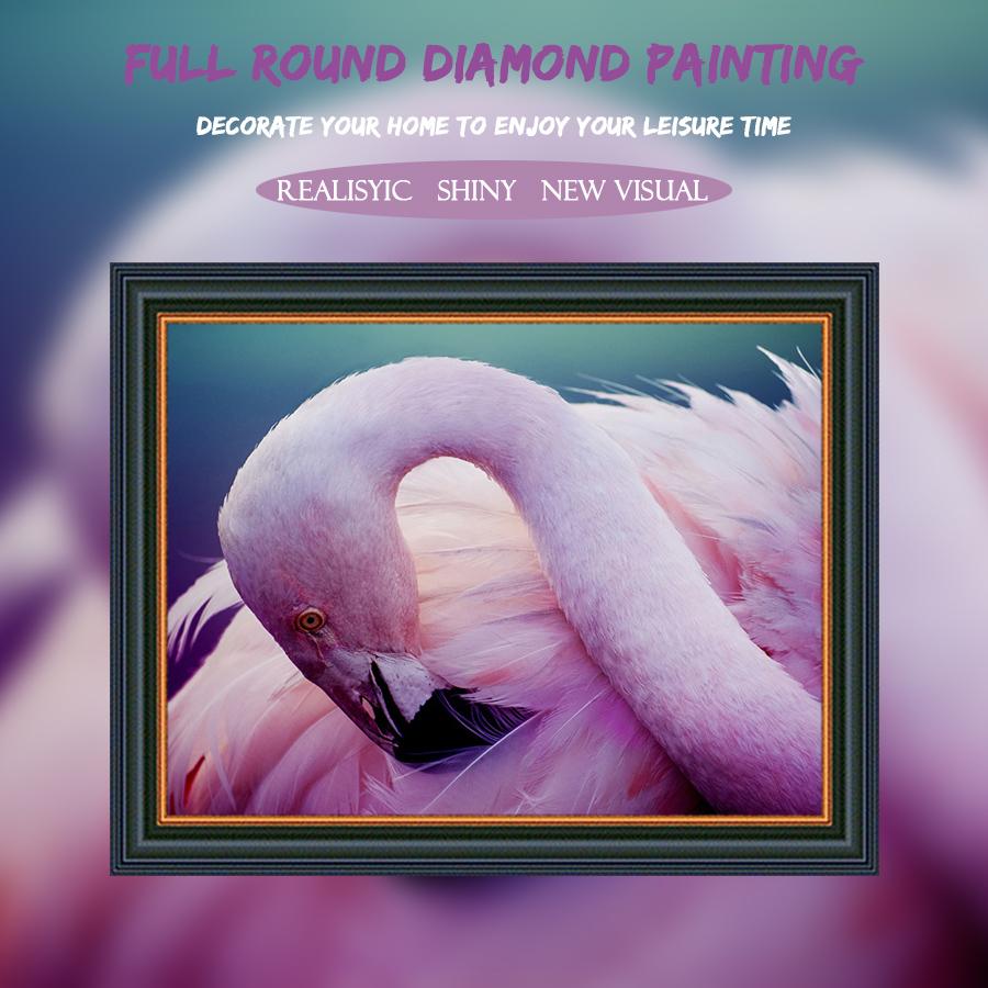 5D Diamond Painting Flamingo